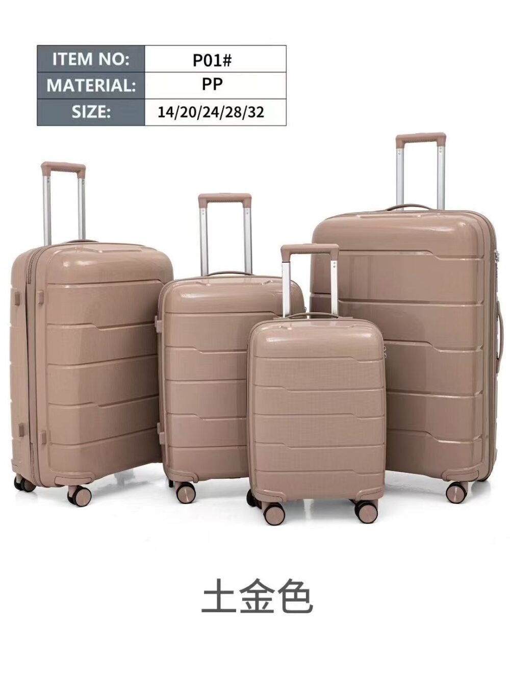 Trolley Case P01