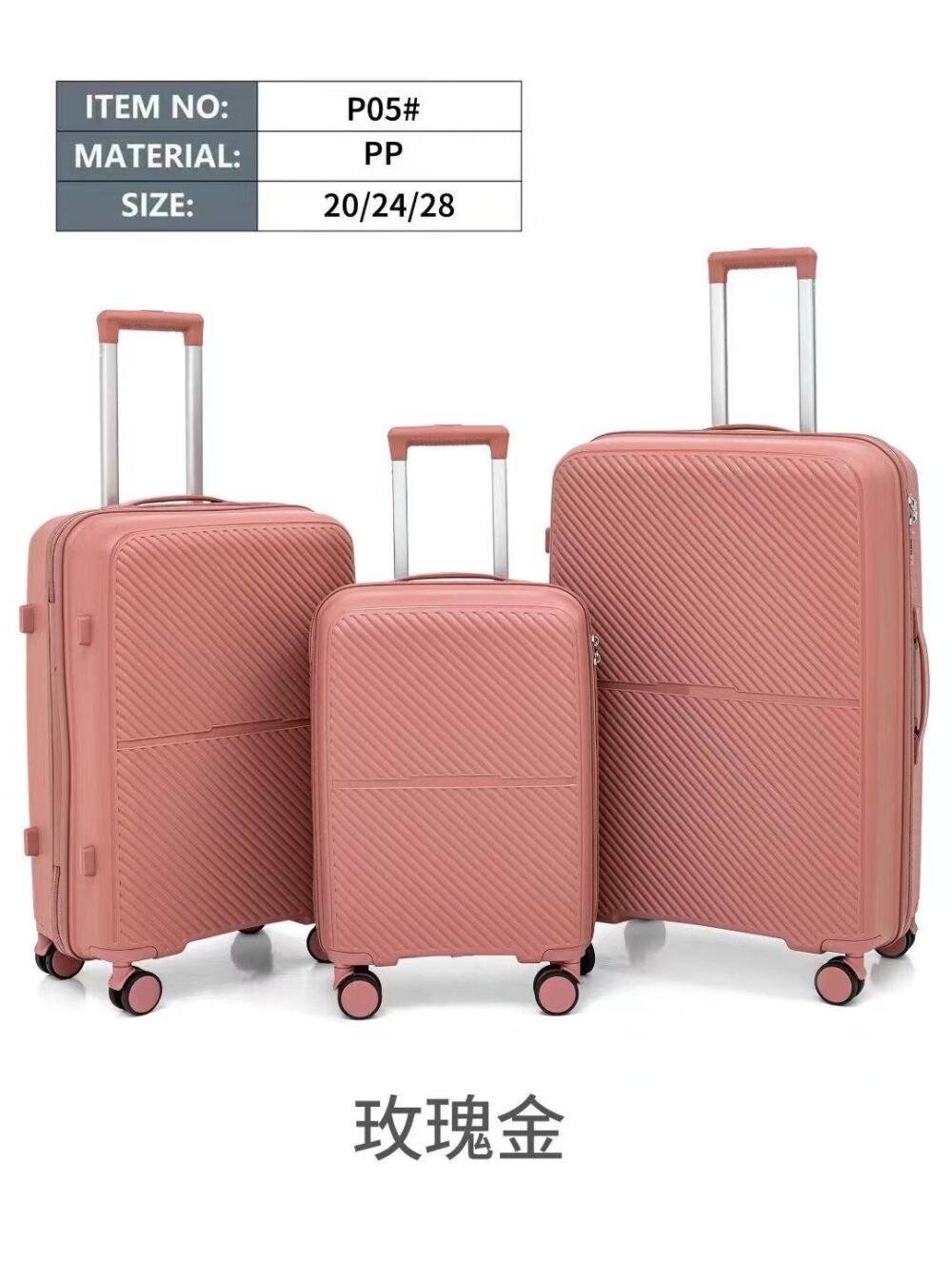 Trolley Case P05