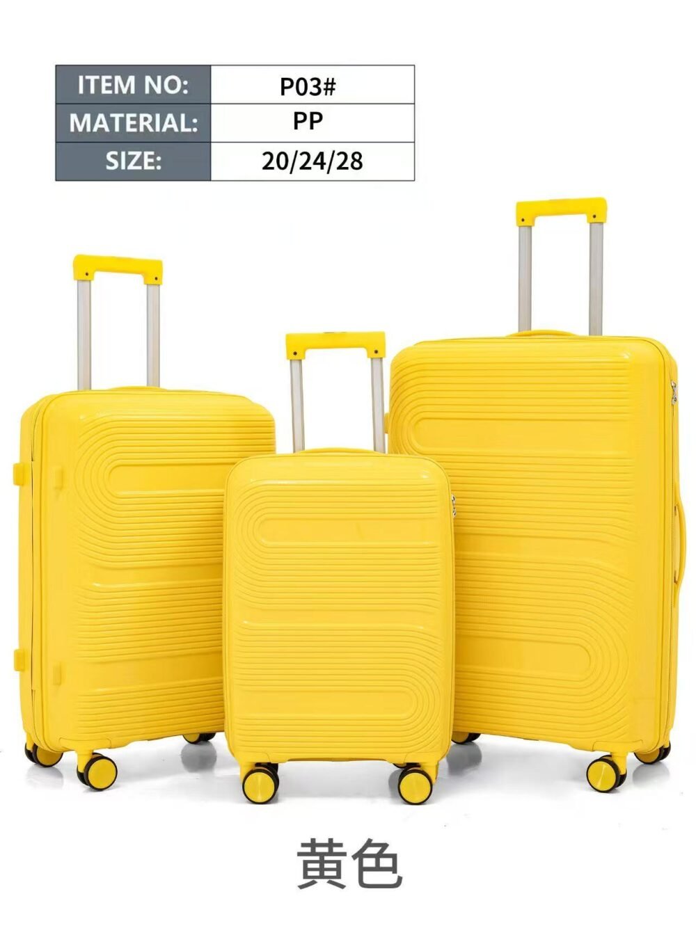 Trolley Case P03